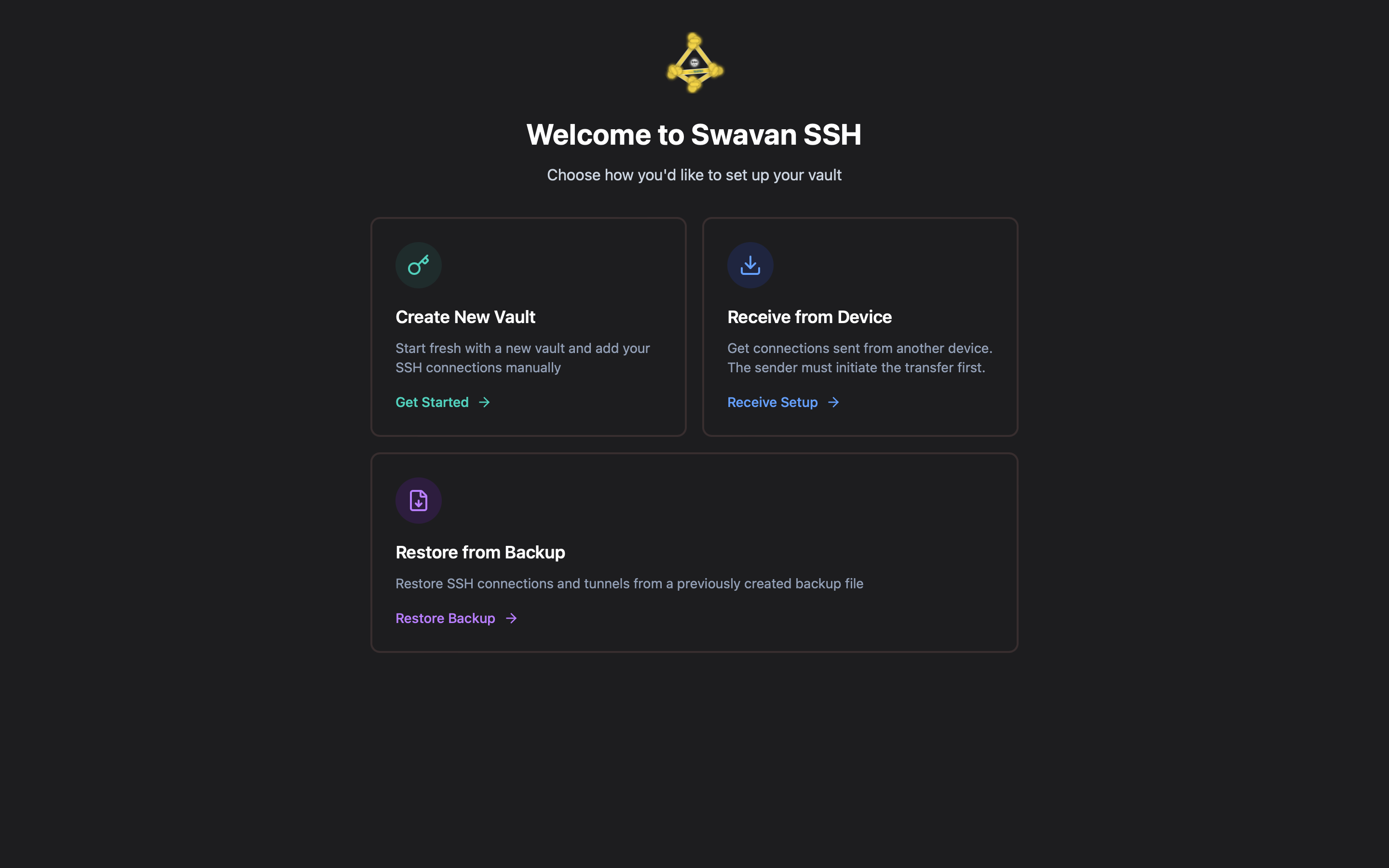 Initial vault setup screen showing three options