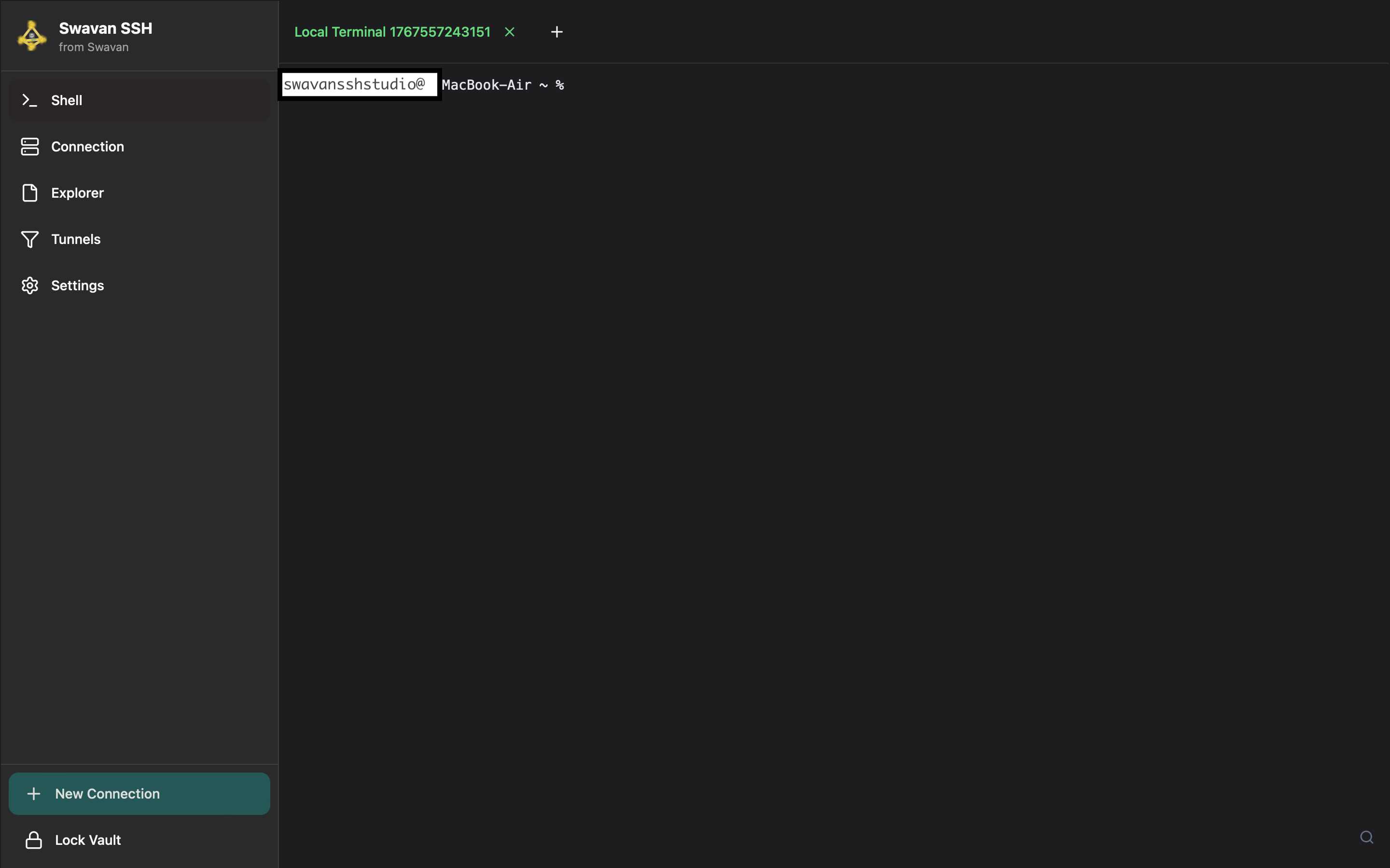 Terminal view with an active SSH session